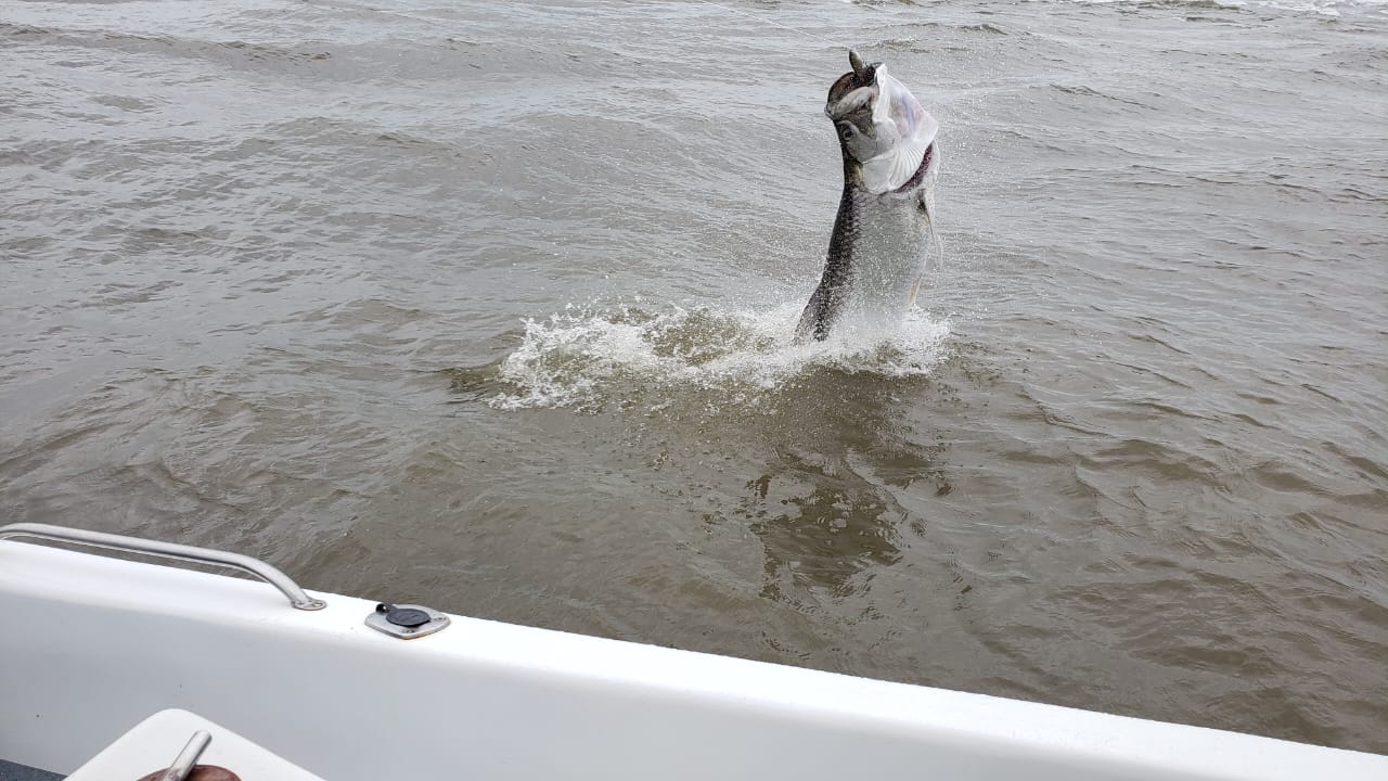 Fishing for Tarpon Costa Rica